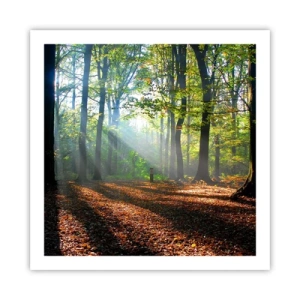 Poster - Lichten en schaduwen - 60x60 cm