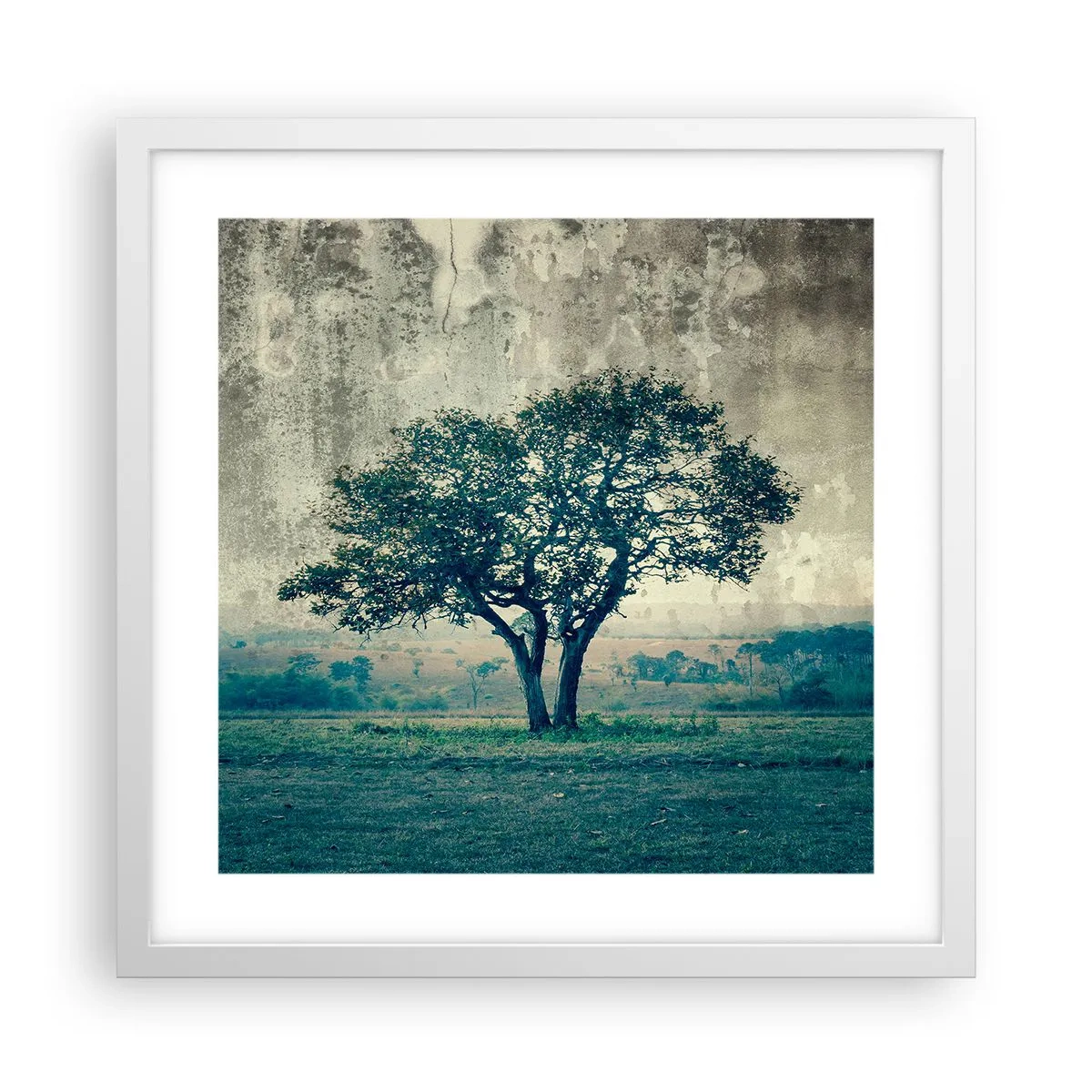Poster in een witte lijst - Een appelboom op een blauw veld? - 40x40 cm