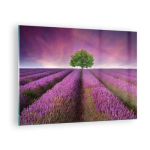 Schilderen op glas - Een lavendelveld met een eenzame boom tegen de lucht - 70x50cm - Op lavendelvelden - Moderne wanddecoratie voor woonkamer en slaapkamer ARTTOR