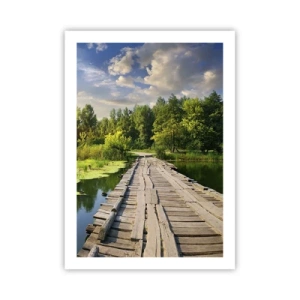 Poster - Zomer, zomer overal - 50x70 cm