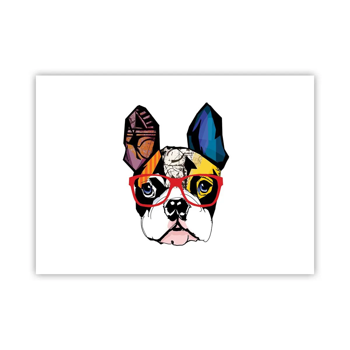 Poster - intellectueel - 70x50 cm