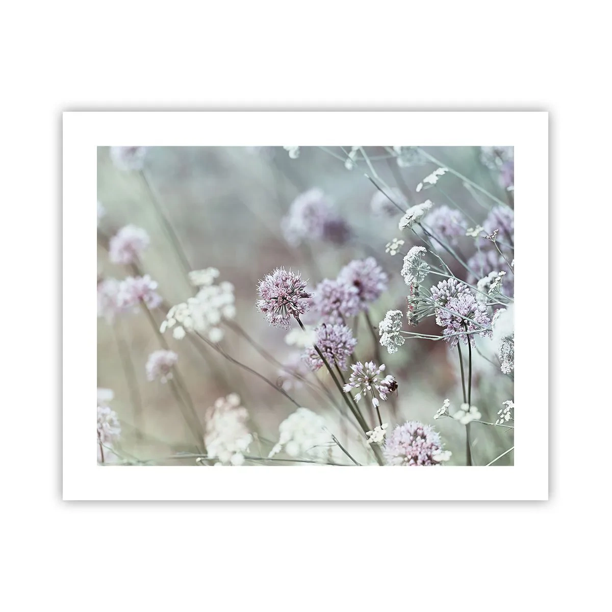 Poster - Zoete filigrane kruiden - 50x40 cm