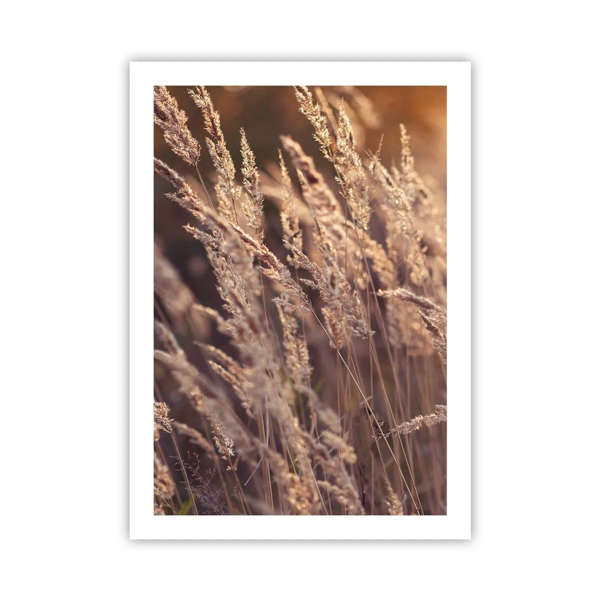 Poster - Klaar om de herfst te verwelkomen - 50x70 cm