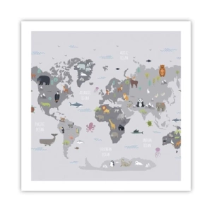 Poster - Vertel me waar je vandaan komt ... - 60x60 cm