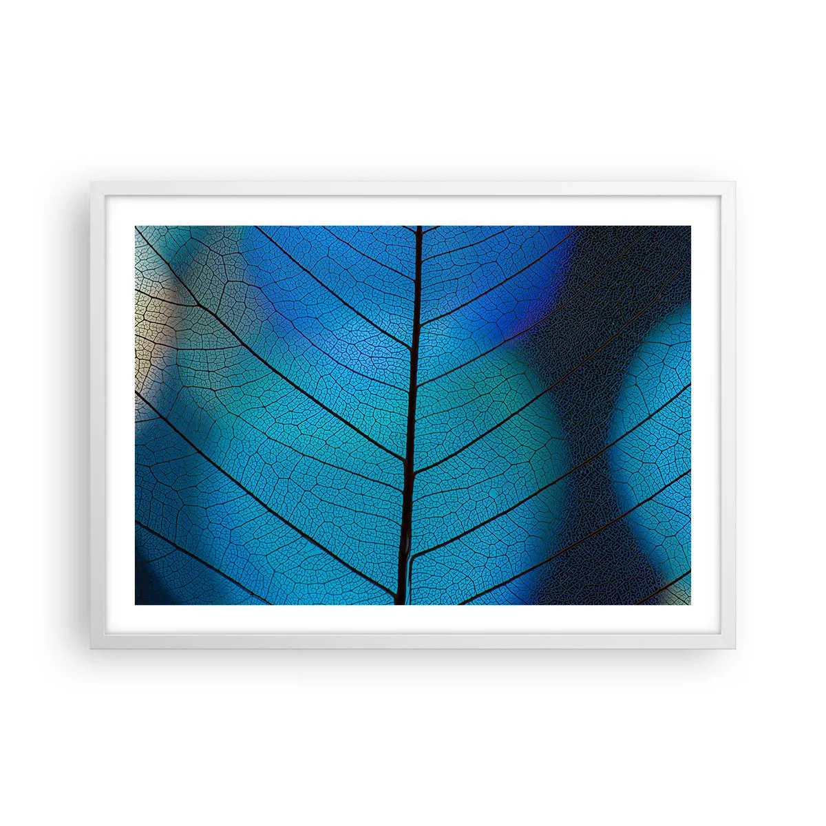 Poster in een witte lijst - Ingewikkelde constructie - 70x50 cm