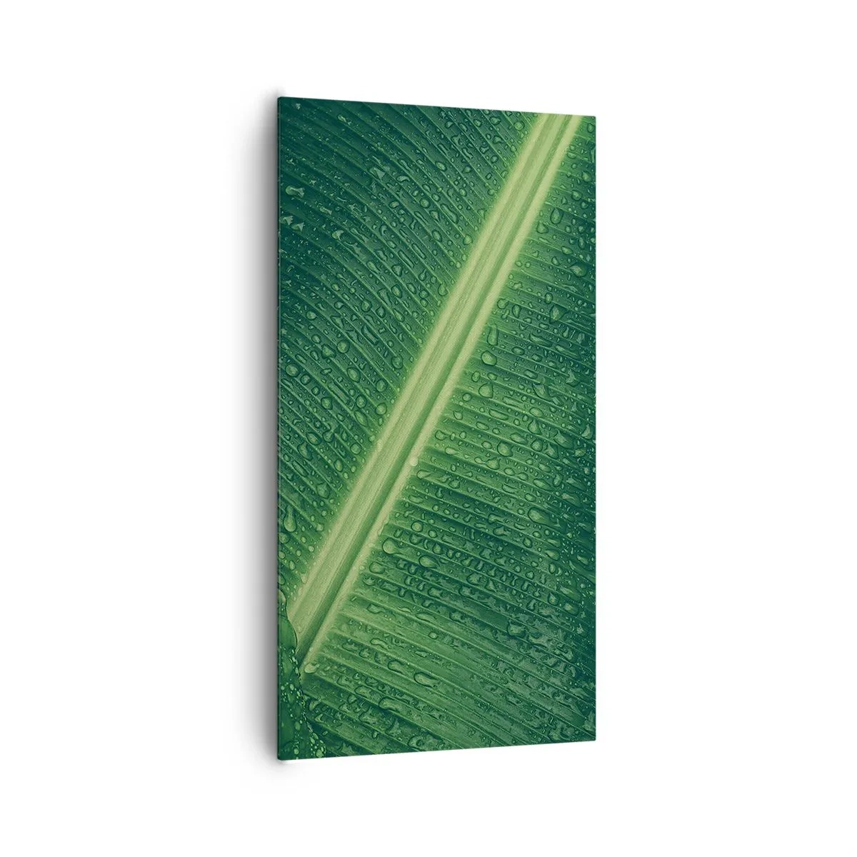 Schilderen op canvas - De structuur van groen - 65x120 cm