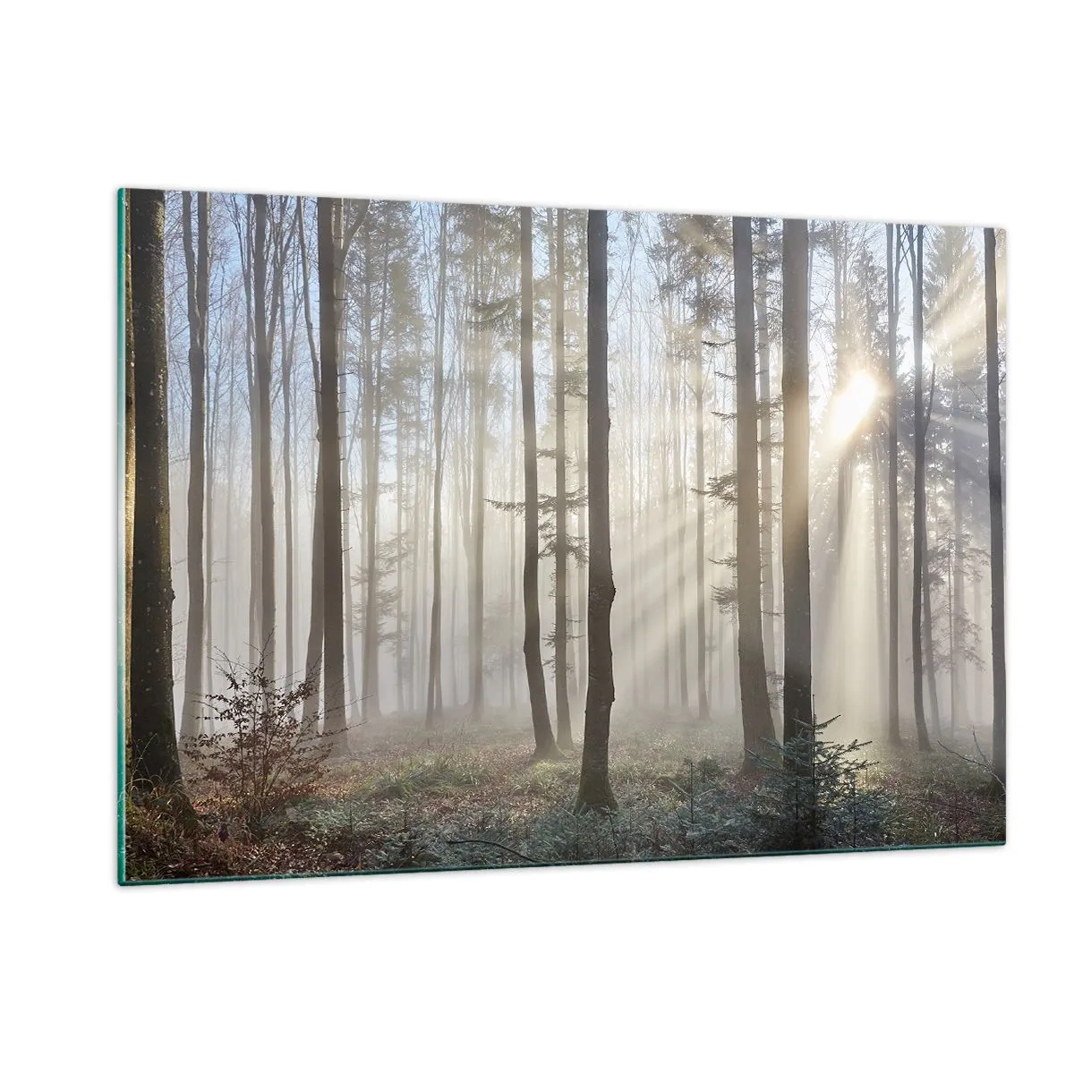 Schilderen op glas - De mist werd ook wakker - 120x80 cm