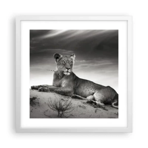 Poster in een witte lijst - De koningin van de woestijn rust - 40x40 cm