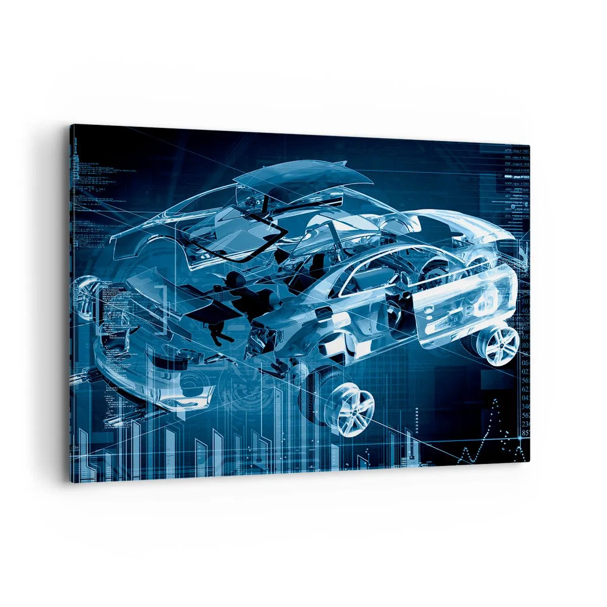 Schilderen op canvas - Technische anatomie - 100x70 cm