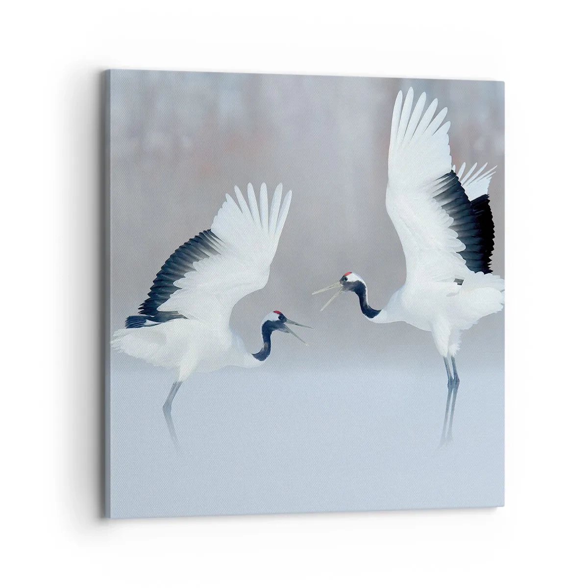 Schilderen op canvas - Dans in de mist - 70x70 cm