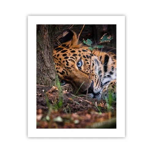 Poster - Geloof me - 40x50 cm