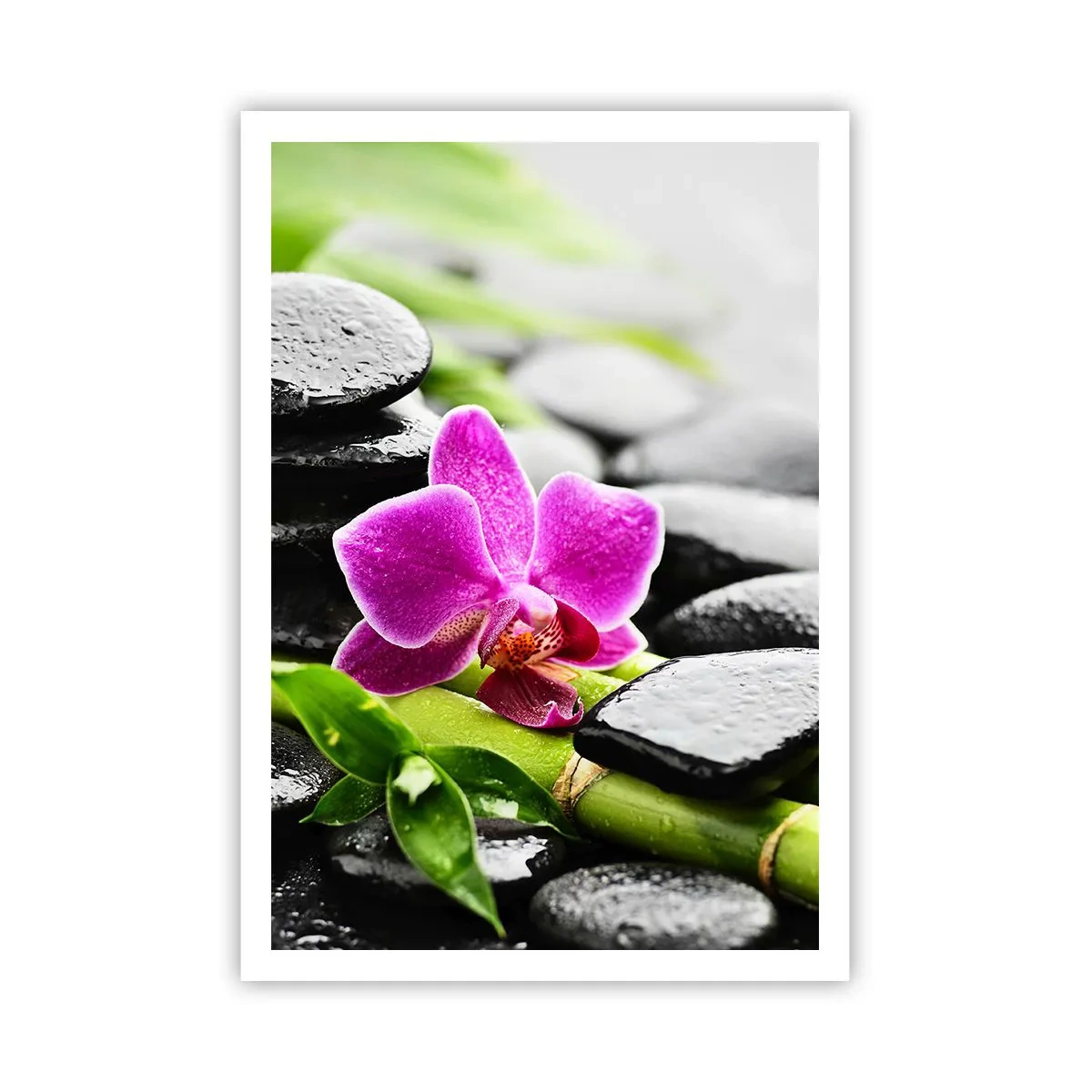 Poster - In een vrede evenwicht - 70x100 cm