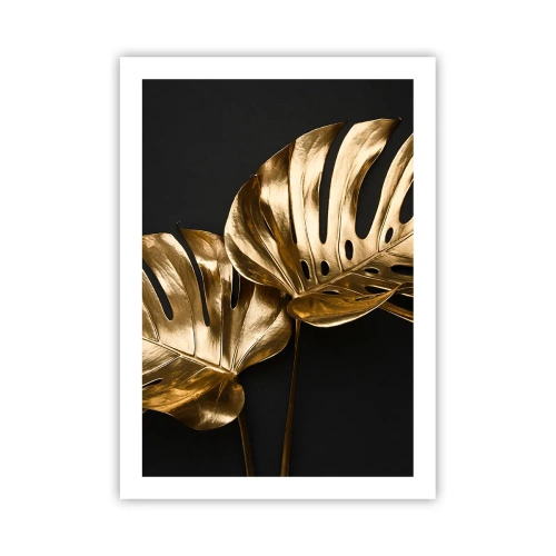 Poster - De schatten van de natuur - 50x70 cm