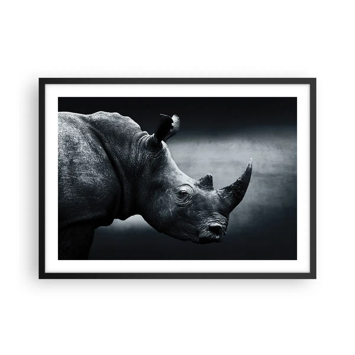 Poster in een zwarte lijst - Rechts profiel - 70x50 cm