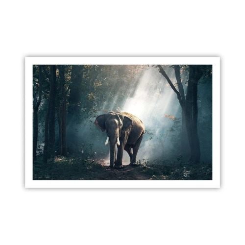 Poster - Een ontspannen wandeling - 91x61 cm