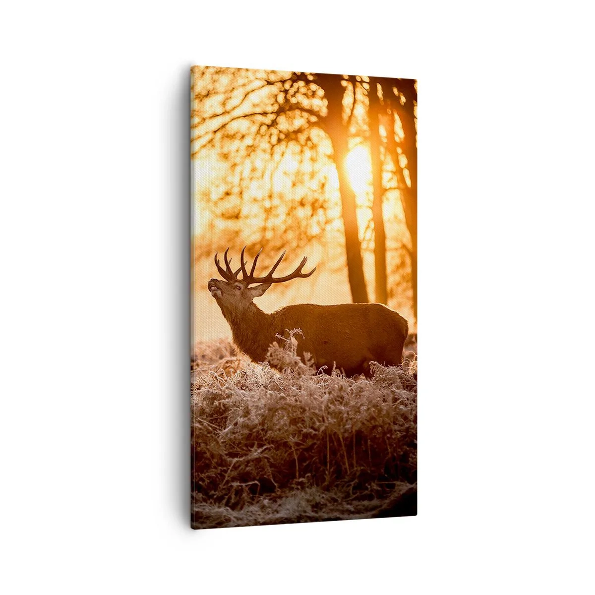 Schilderen op canvas - De droom van een jager - 55x100 cm