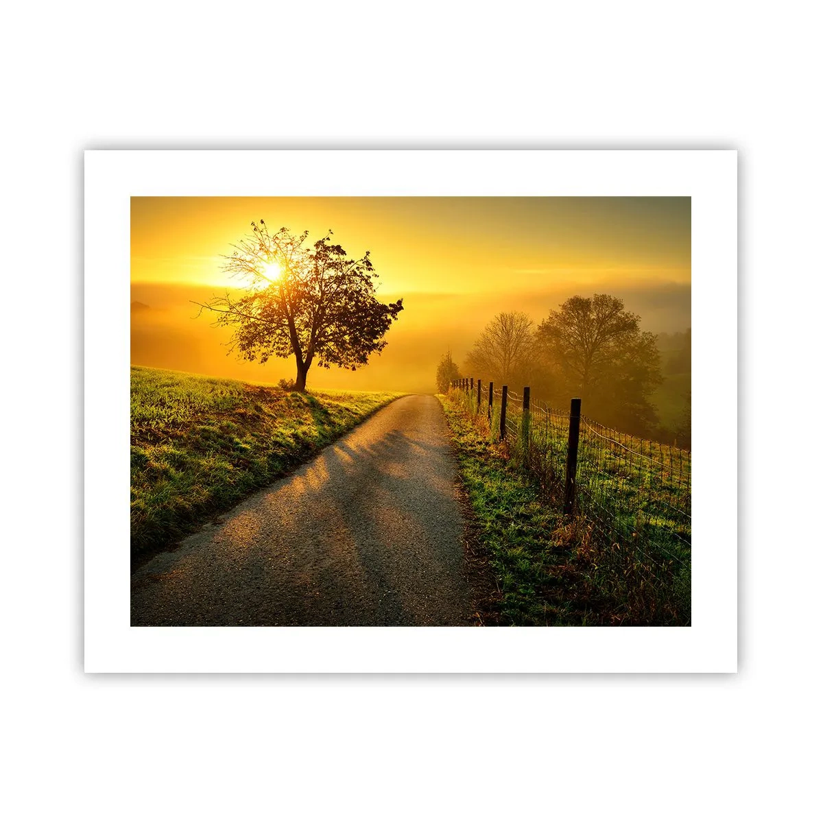 Poster - Honingmiddag - 50x40 cm