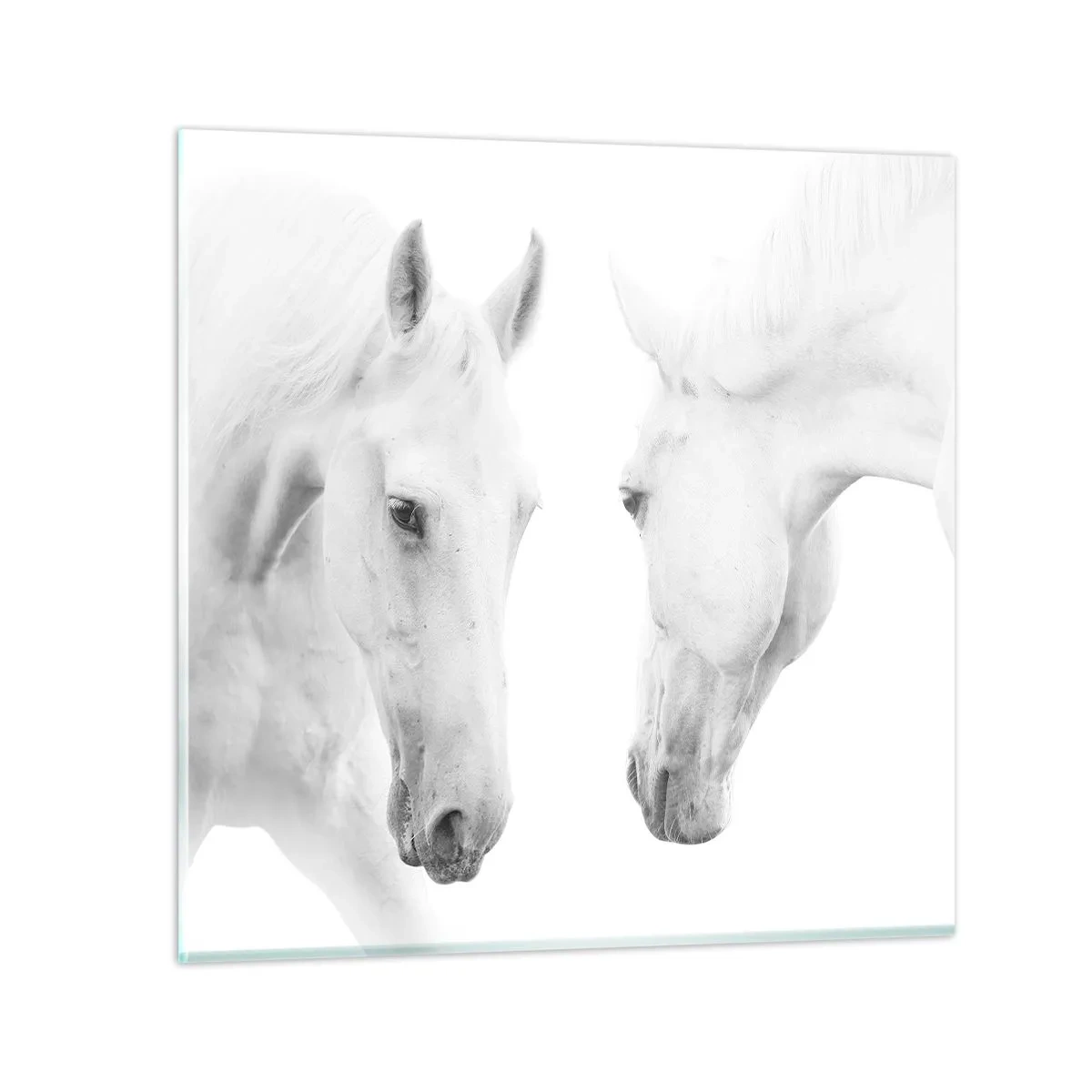 Schilderen op glas - Is dit vriendschap...? - 70x70 cm