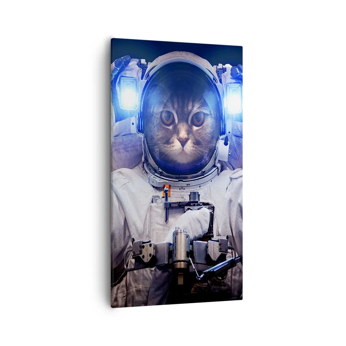 Schilderen op canvas - Houston, je hebt een probleem - 55x100 cm