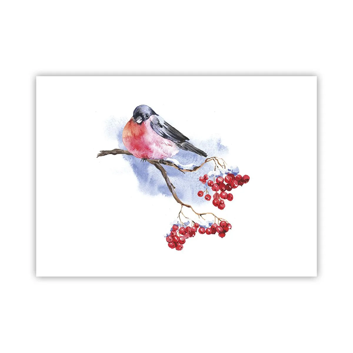 Poster - Winter in kleur - 70x50 cm