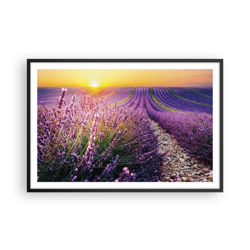 Poster in een zwarte lijst - Geurige korenvelden - 91x61 cm