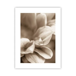 Poster - Zo zacht als een glimlach - 30x40 cm