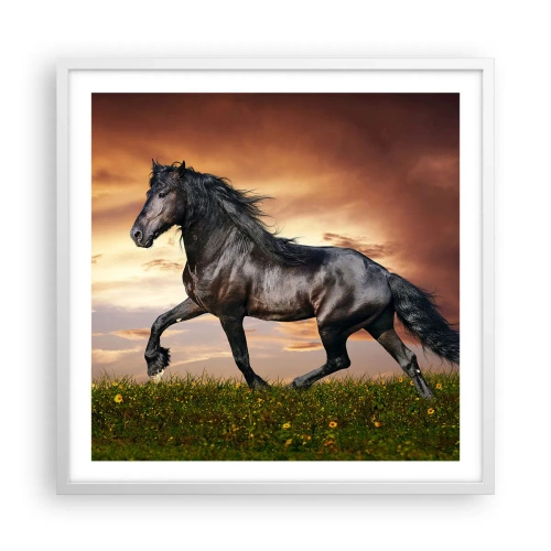 Poster in een witte lijst - Zwarte Prins - 60x60 cm