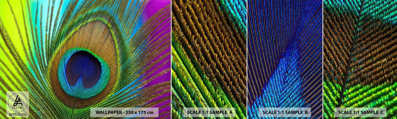 Fotobehang Monster Zelfklevend Deluxe Sticker - Oog in oog - Abstractie, Pauwenveer, Deel - 100x30 cm