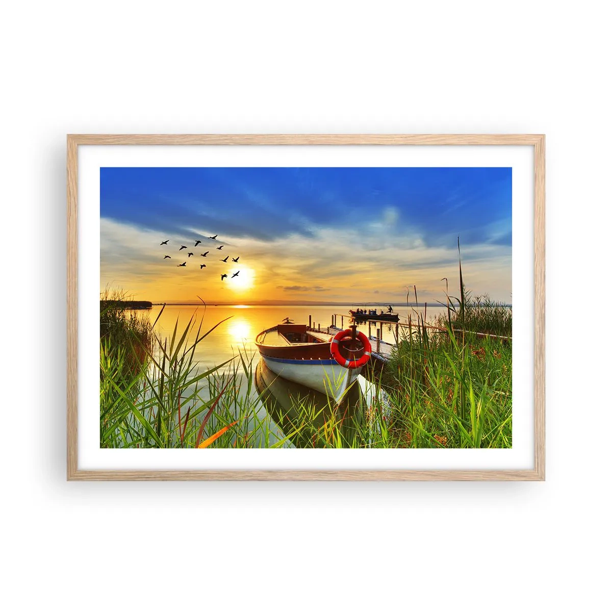 Een poster in een licht eiken lijst - De aalscholvers vliegen al weg - 70x50 cm