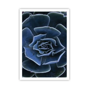 Poster - Woestijn bloem - 70x100 cm