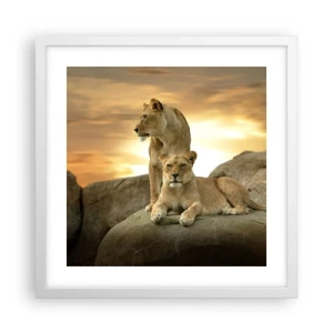 Poster in een witte lijst - Koninklijke majesteit - 40x40 cm