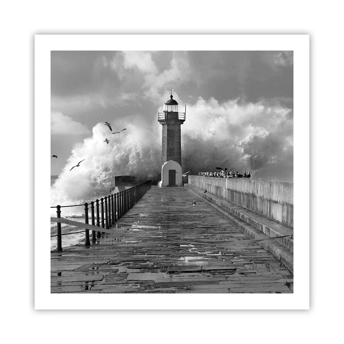 Poster - Onbevreesd - 60x60 cm