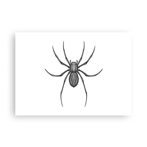 Poster - Verontrustende precisie - 70x50 cm