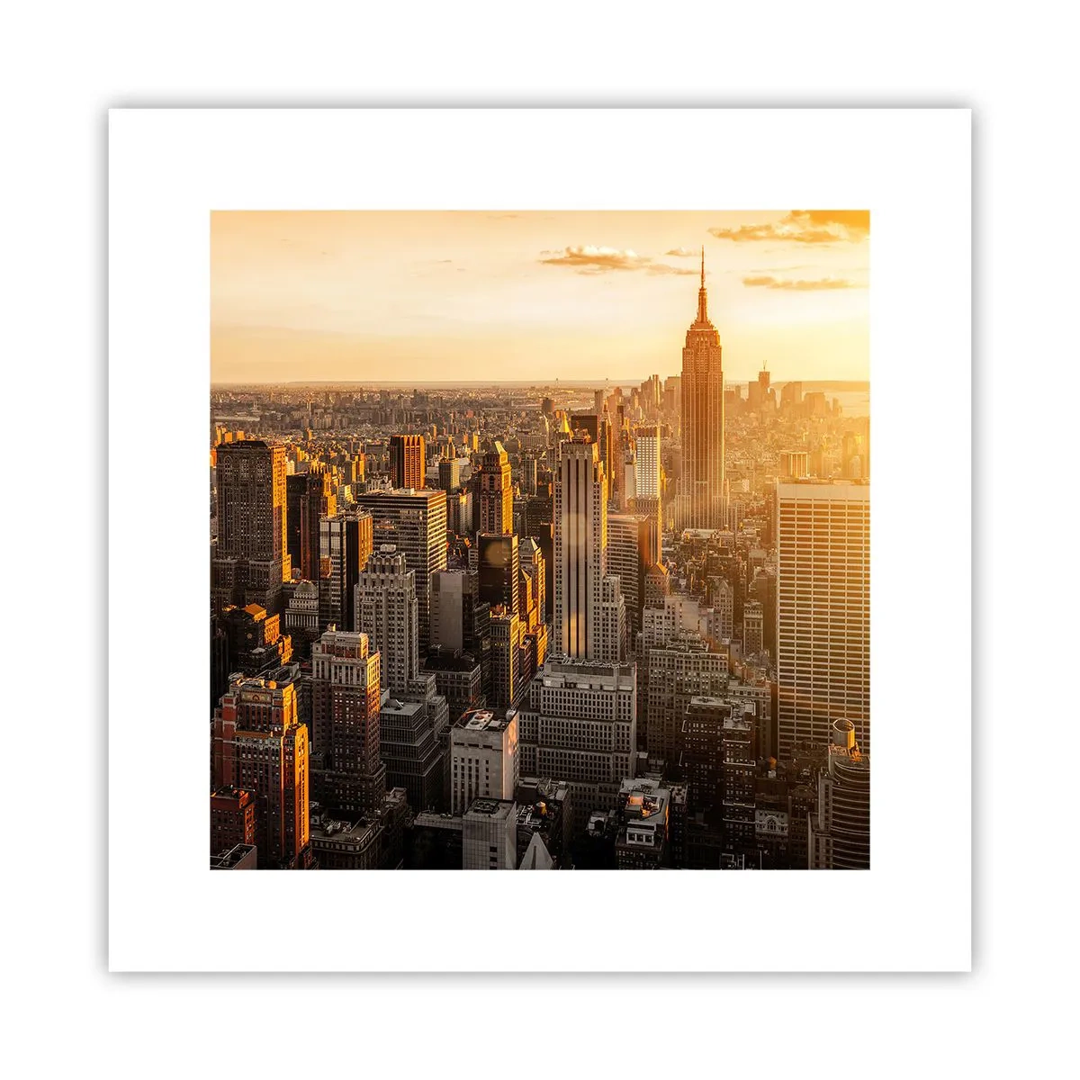 Poster - Groeien in de zon - 30x30 cm