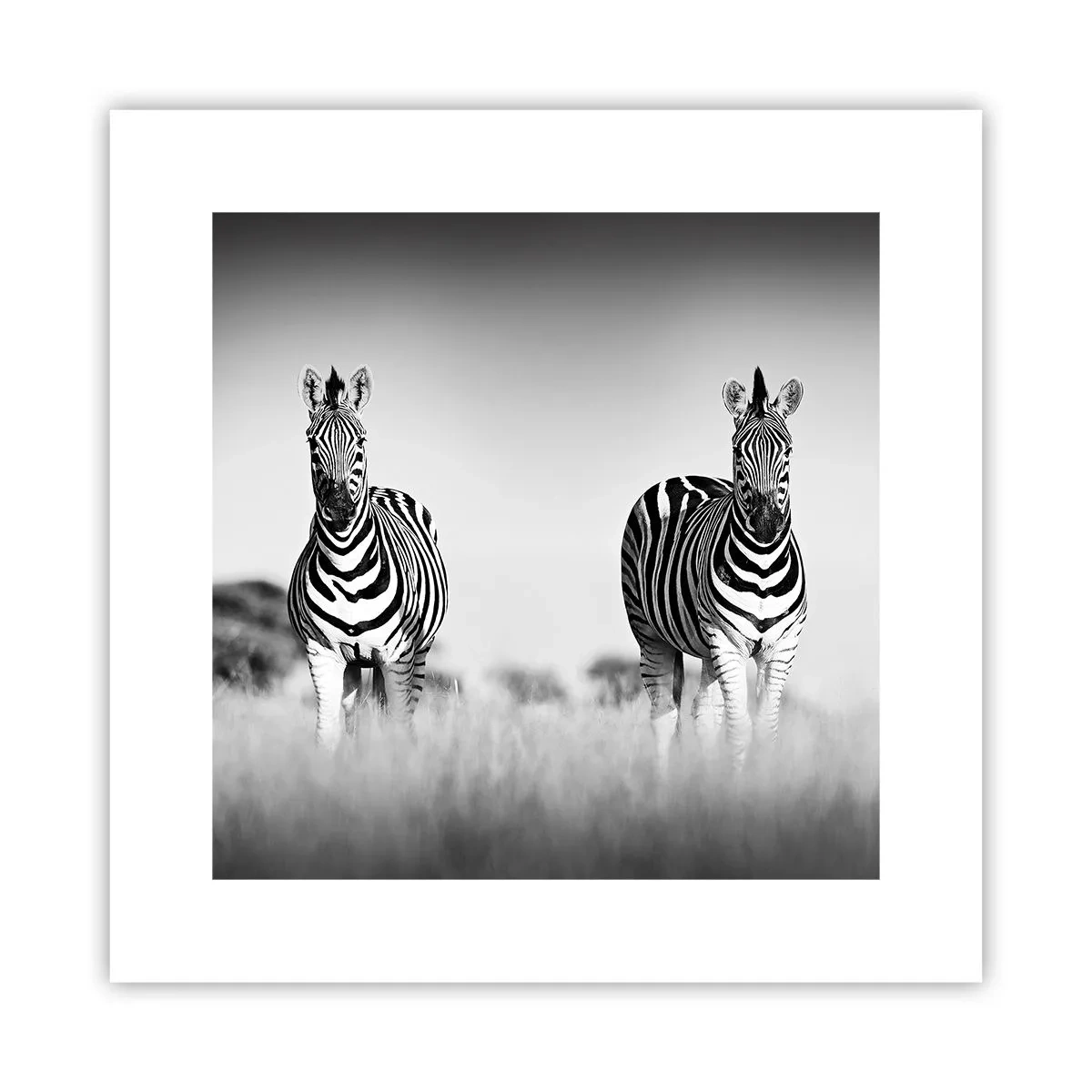 Poster - Toch is de wereld zwart-wit - 30x30 cm