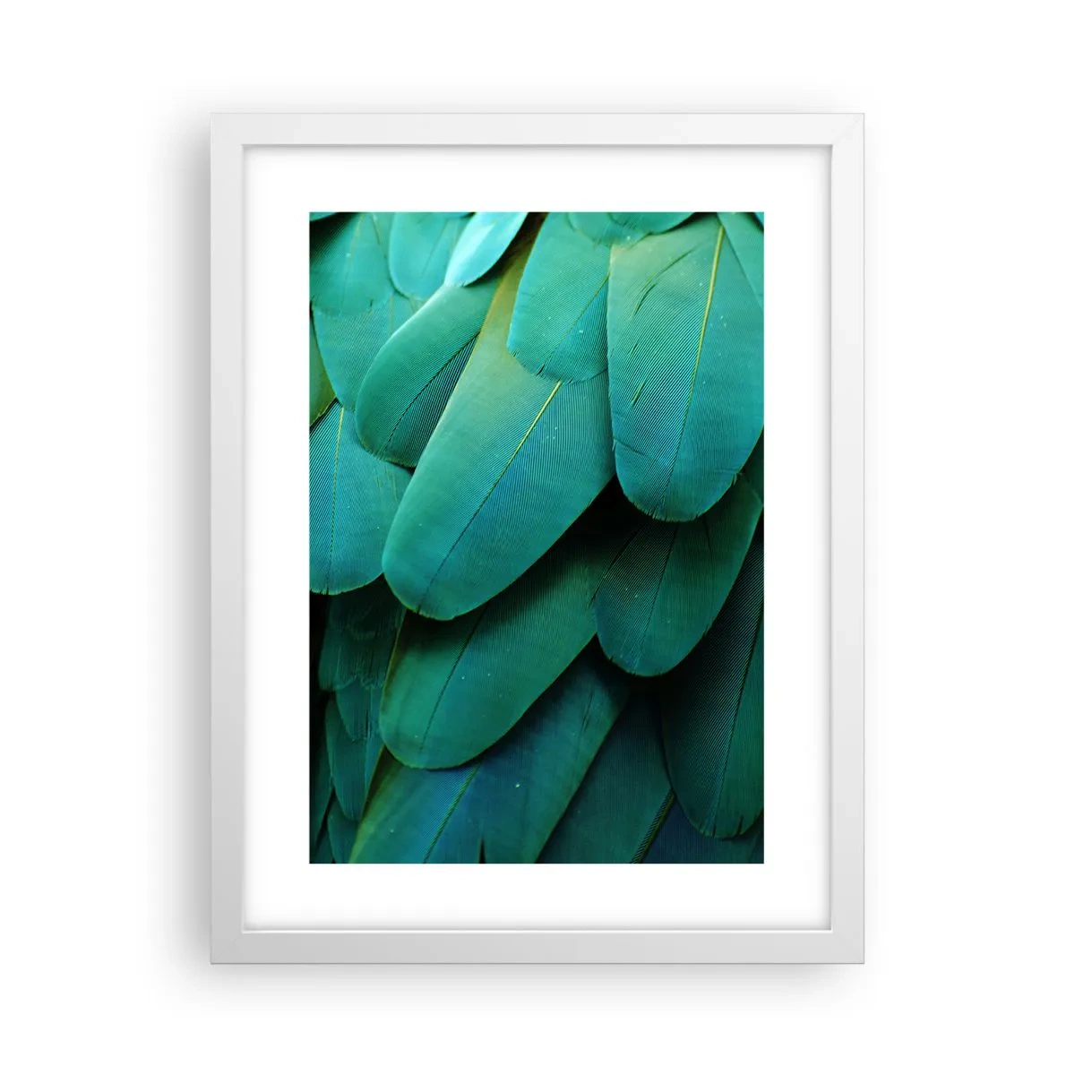 Poster in een witte lijst - Papegaaiachtige precisie - 30x40 cm