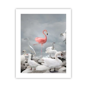 Poster - Hoe ben ik hier terecht gekomen? - 40x50 cm