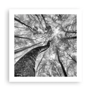 Poster - Race naar het licht - 50x50 cm