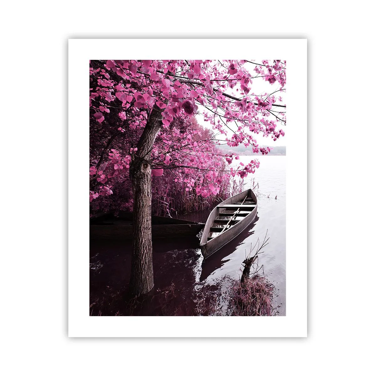 Poster - In roze stilte - 40x50 cm