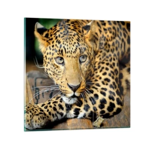 Schilderen op glas - Wees niet bang, kom maar hier - 70x70 cm