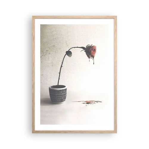 Een poster in een licht eiken lijst - Rosa dolorosa - 50x70 cm