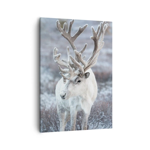 Schilderen op canvas - Portret in de zon - 50x70 cm