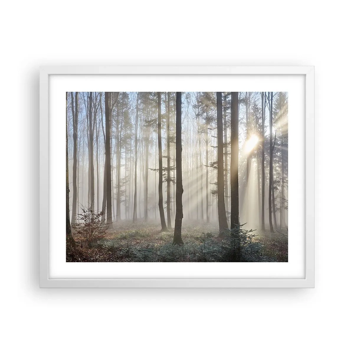 Poster in een witte lijst - De mist werd ook wakker - 50x40 cm