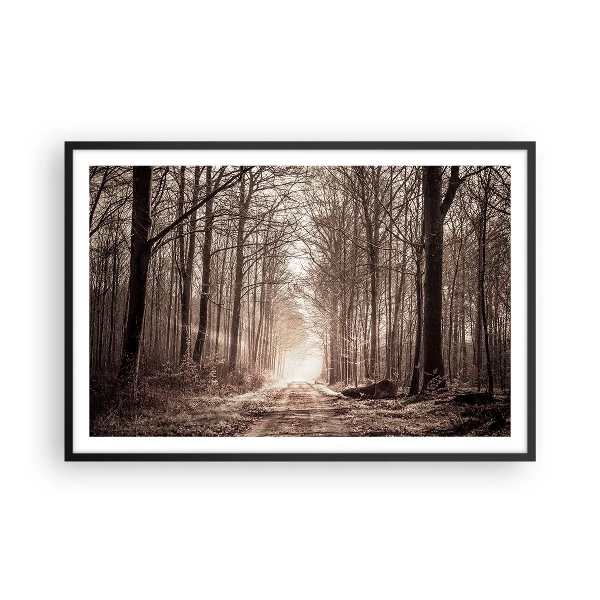 Poster in een zwarte lijst - Boskathedraal - 91x61 cm