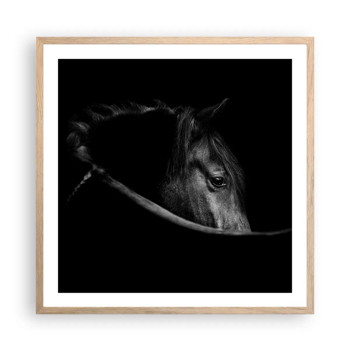 Een poster in een licht eiken lijst - Zwarte Prins - 60x60 cm