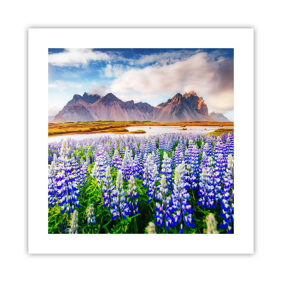 Poster - Kracht en soberheid naast zachtheid - 40x40 cm