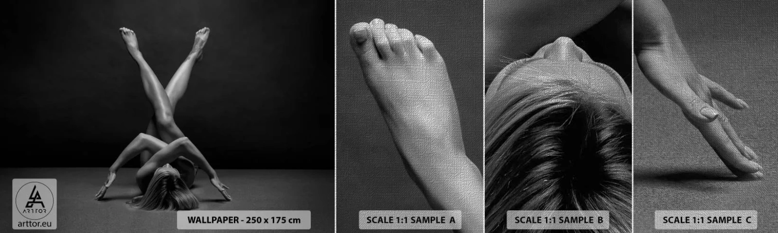 Fotobehang Monster Premium Canvas - De geometrie van naaktheid - Vrouw, Deel, Lichaam - 100x30 cm