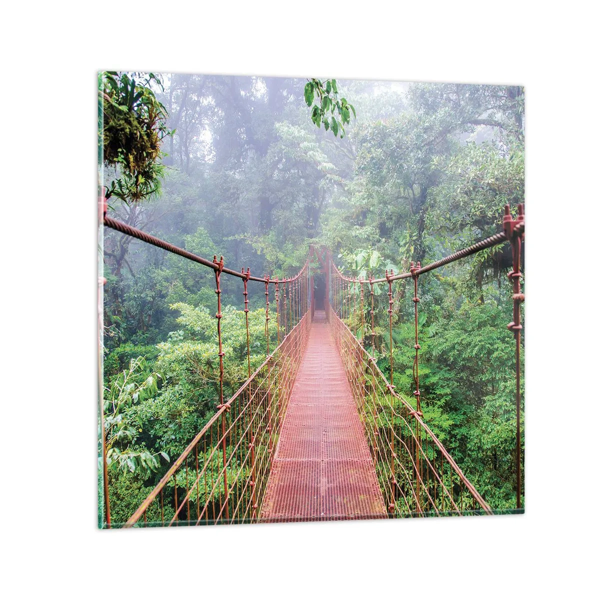 Schilderen op glas - Opgehangen over de kronen - 70x70 cm