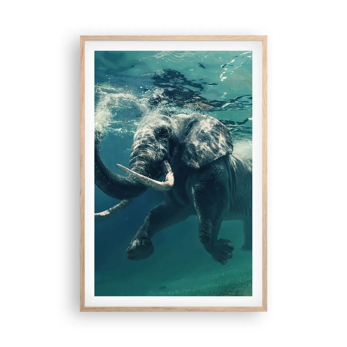 Een poster in een licht eiken lijst - Iedereen houdt van zwemmen - 61x91 cm