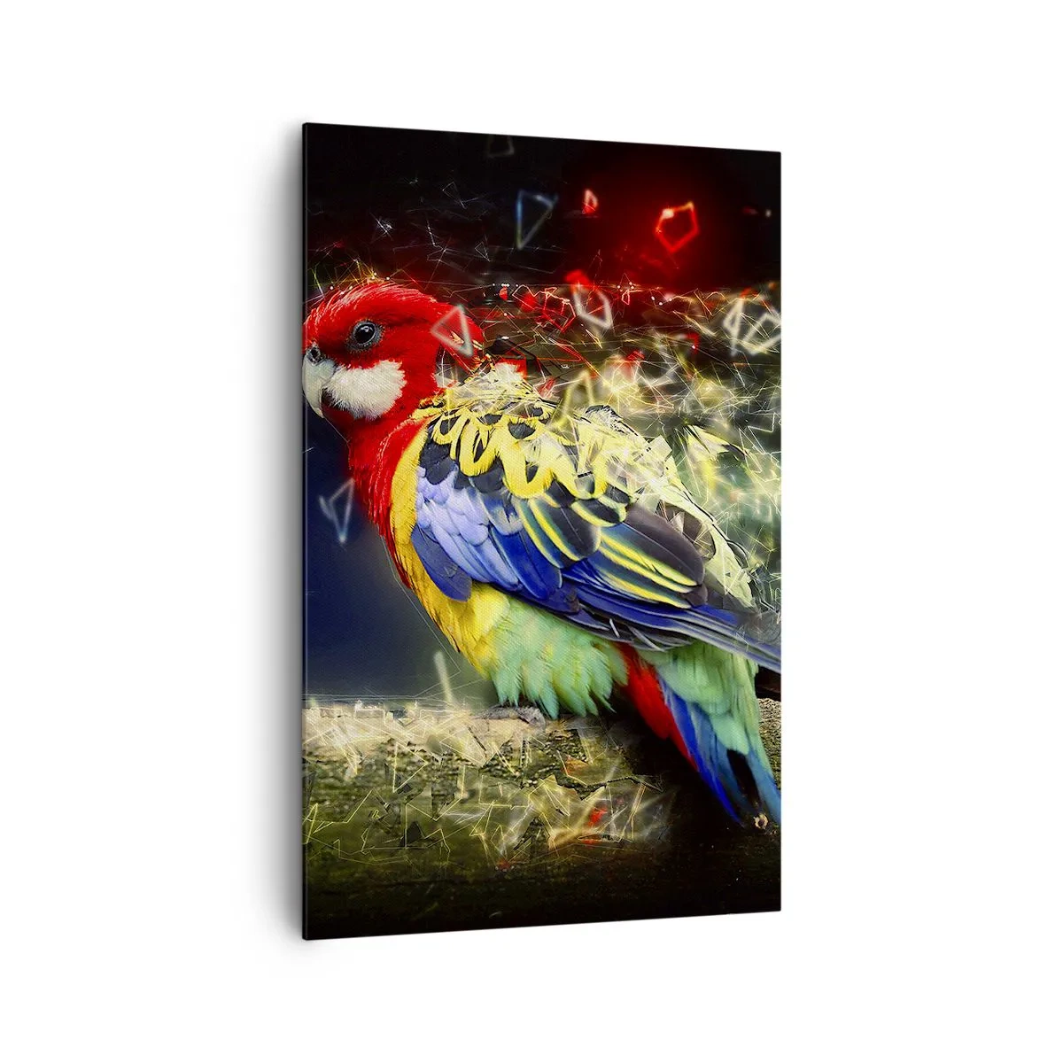 Schilderen op canvas - Boodschapper van uitstraling - 80x120 cm